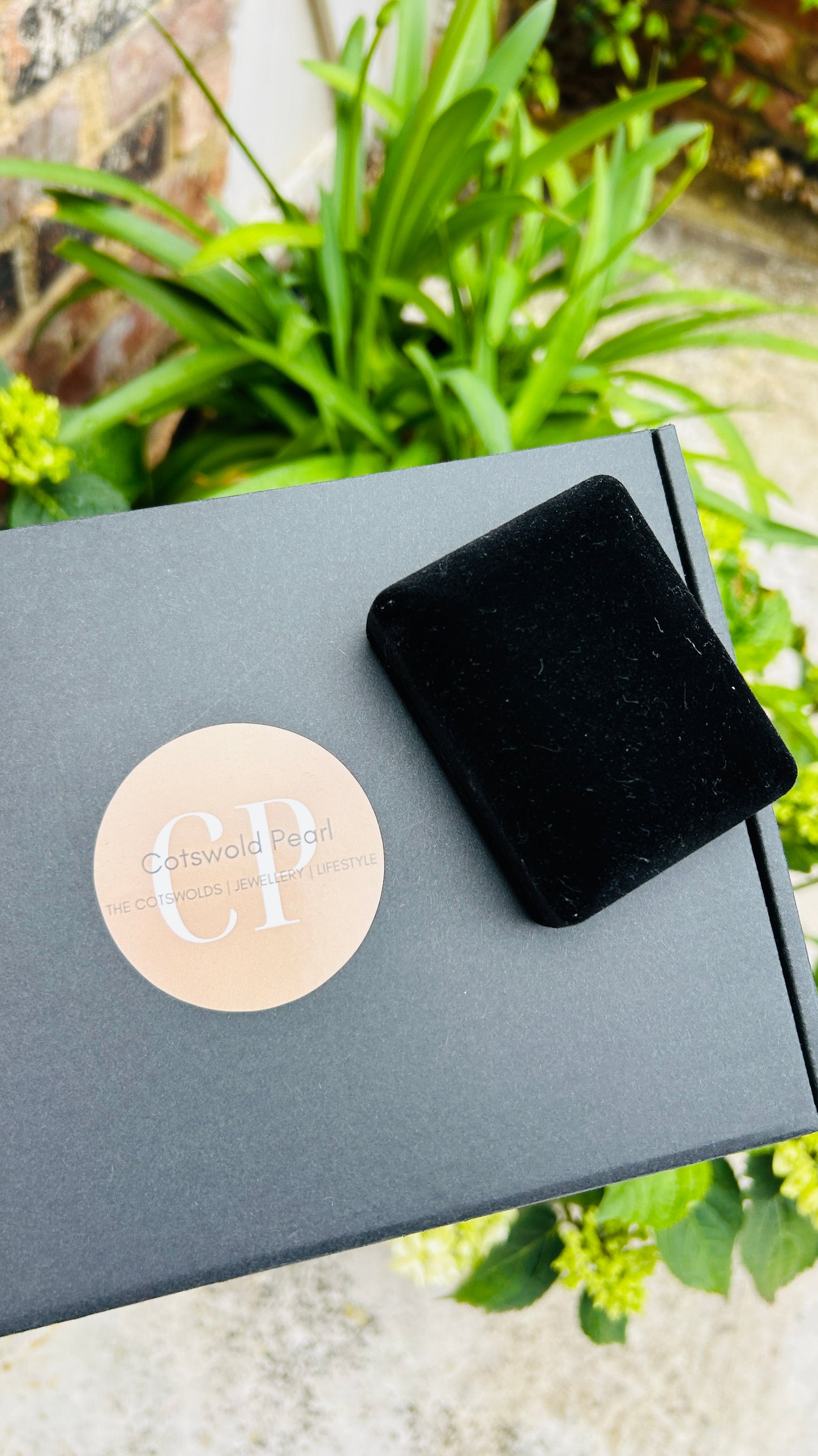 Black velvet jewelry box on a gray box with 'CP' logo, surrounded by green plants.