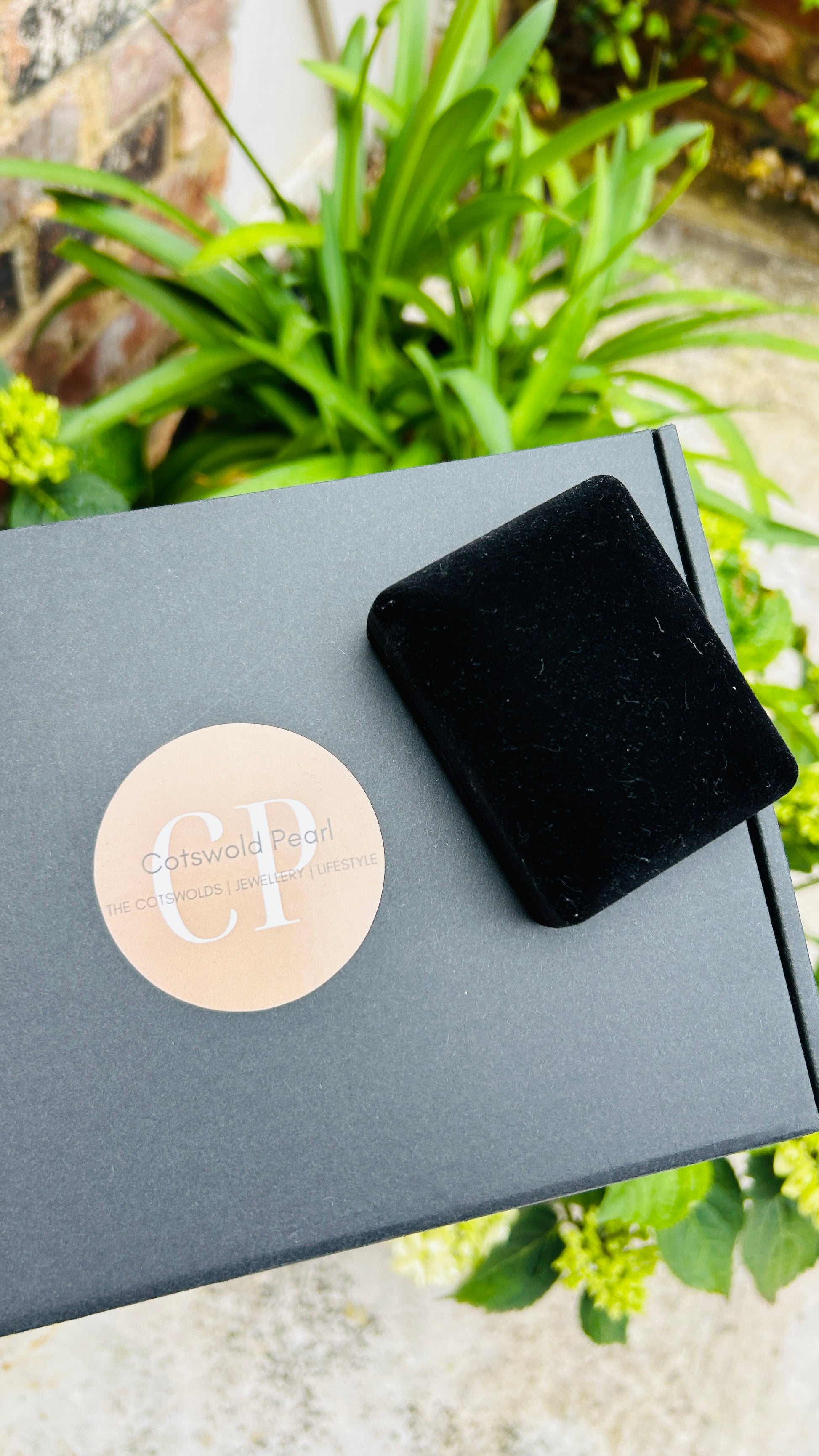 Black velvet jewelry box on a gray box with 'CP' logo, surrounded by green plants.